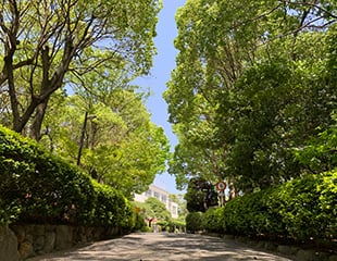 デジタル生徒手帳